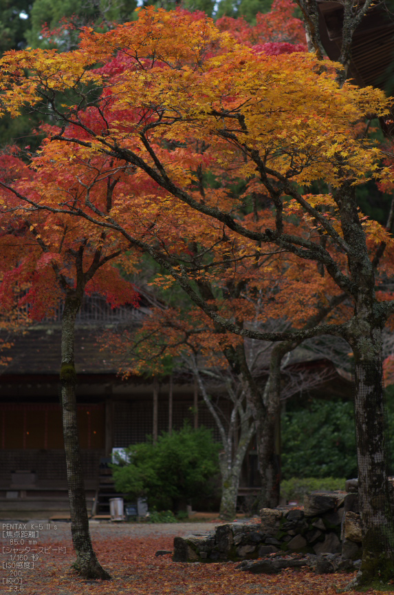 神護寺_紅葉2012_yaotomi_56s.jpg