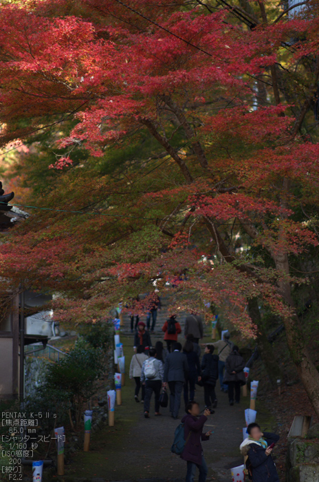 神護寺_紅葉2012_yaotomi_63s.jpg