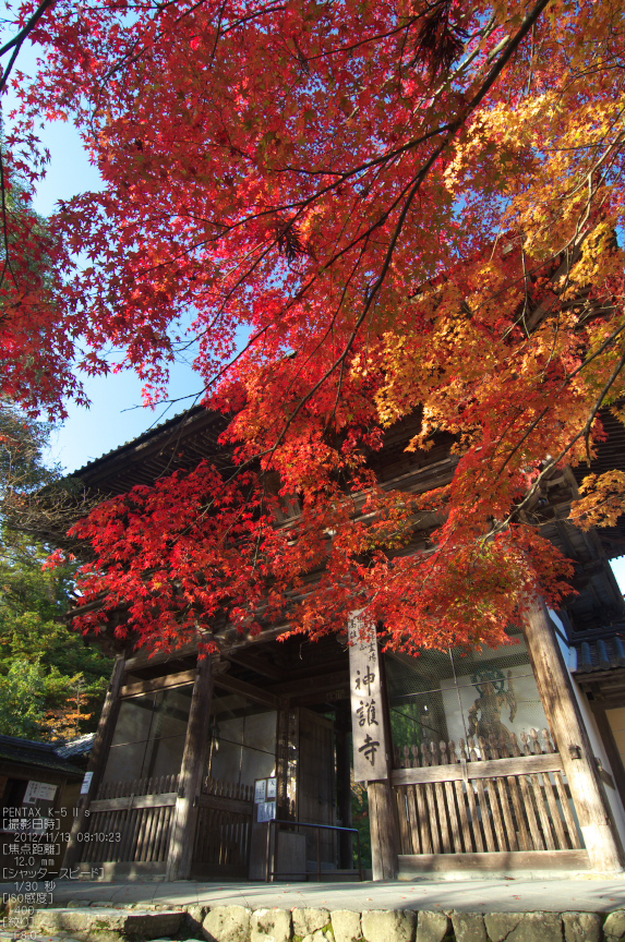 神護寺_紅葉2012_yaotomi_7s.jpg