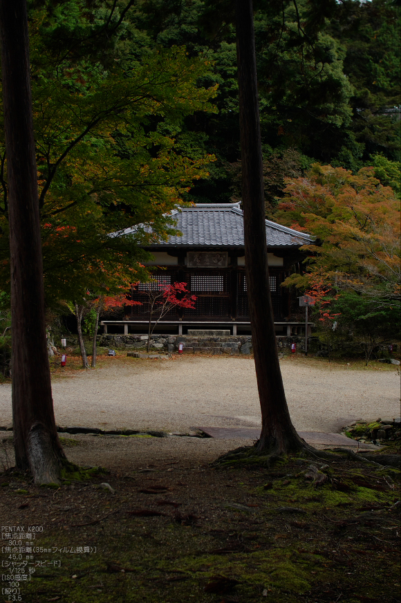 神護寺_紅葉_2011_21.jpg