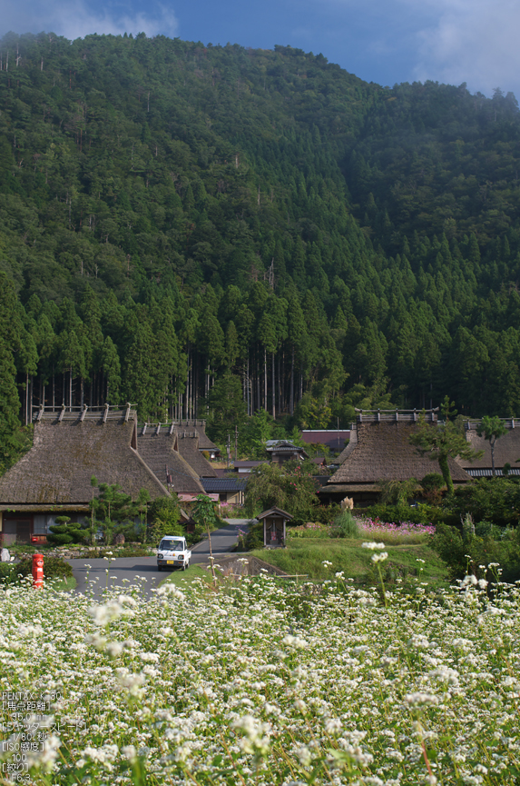 美山_蕎麦_2012_yaotomi_お写ん歩_5.jpg