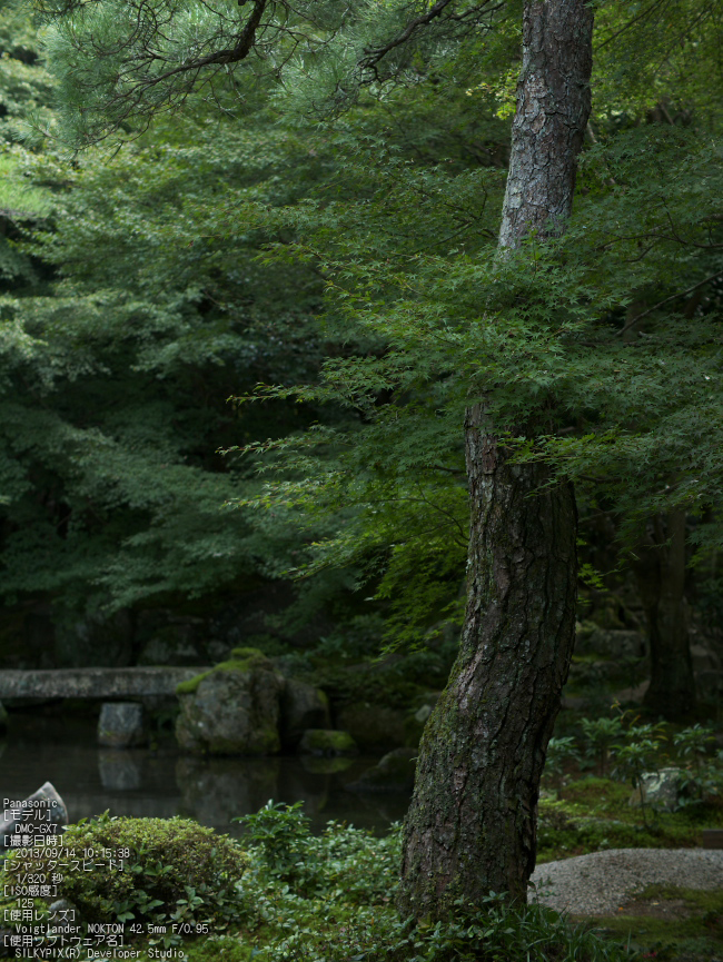 蓮花寺_Panasonic,GX7_2013yaotomi_12s.jpg