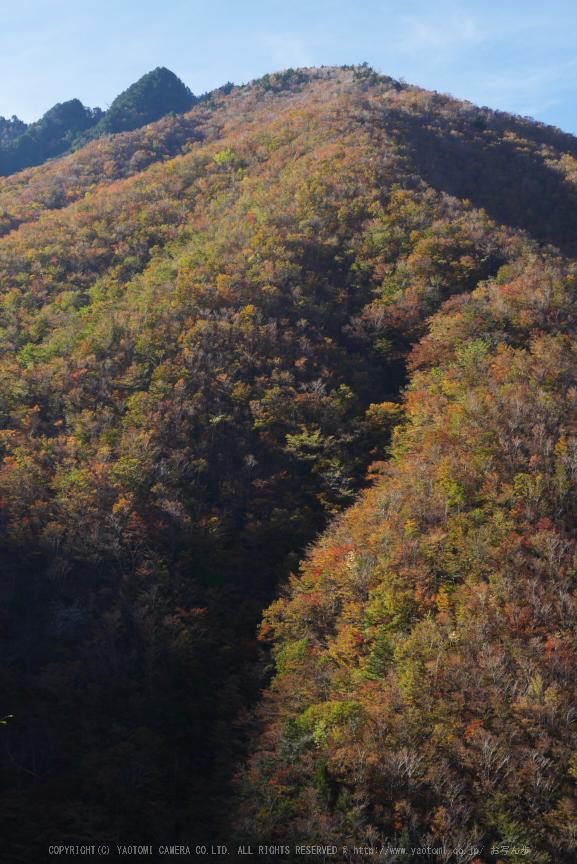 行者還,国道309,紅葉(P1000094,25mm,F6.3,GM5)2014yaotomi.jpg