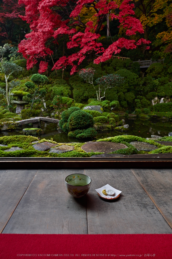 西南院・紅葉(PB290149,12mm,F6.3,EM1)2014yaotomi_.jpg