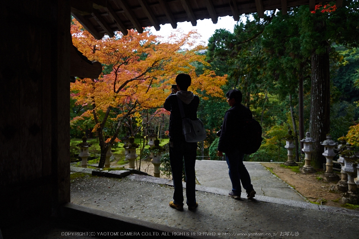 西明寺,紅葉(PB050235,14mm,F2.8,EM1)2014yaotomi.jpg