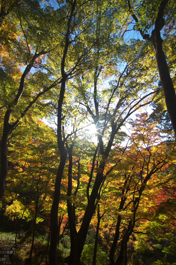 談山神社・紅葉_2012yaotomi_6.jpg