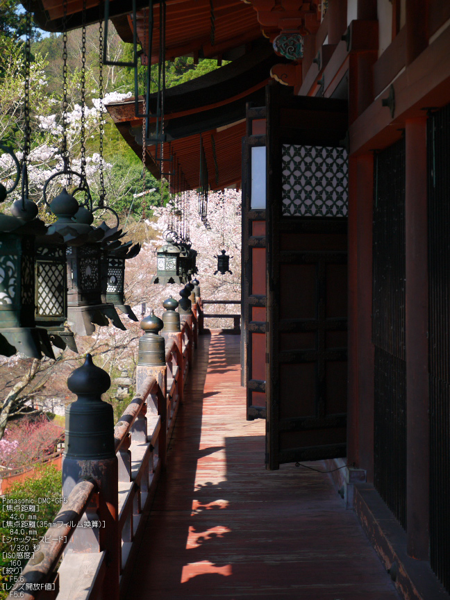 談山神社_桜_2012_GF5_yaotomi_5.jpg