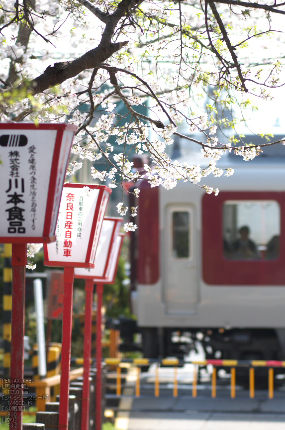 郡山城跡_桜_2013yaotomi_6s.jpg