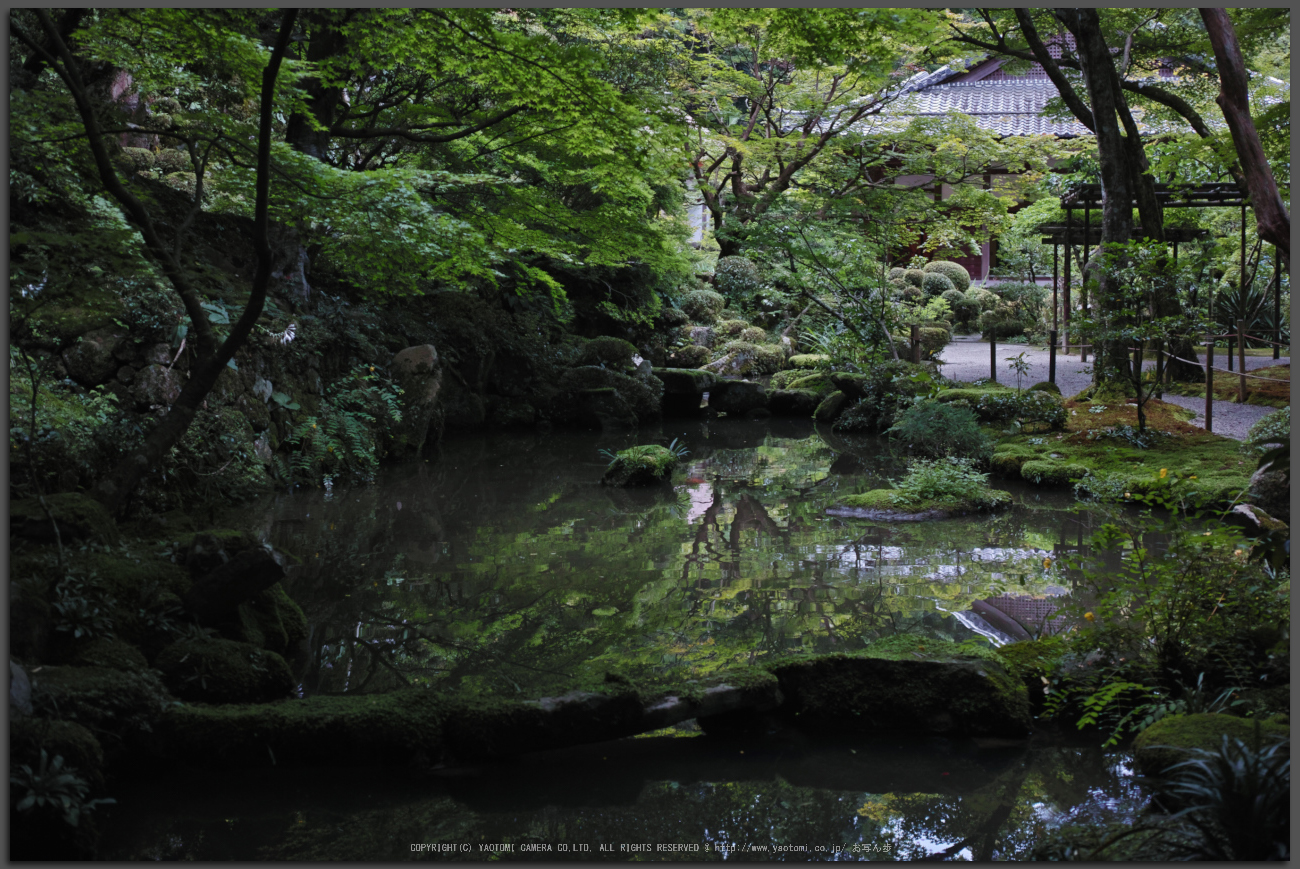 http://www.yaotomi.co.jp/blog/walk/%E9%87%91%E5%89%9B%E8%BC%AA%E5%AF%BA%2CDP2quattro%28SDIM0315%2CF3.2%292014yaotomi_Top.jpg