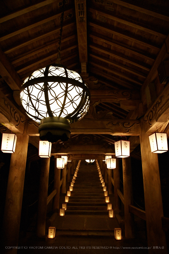 長谷寺,観音万燈会_IMG_4844Cap(24mm,F4.5,iso1600,SIGMA24_105,5DmarkII)2013yaotomi.jpg