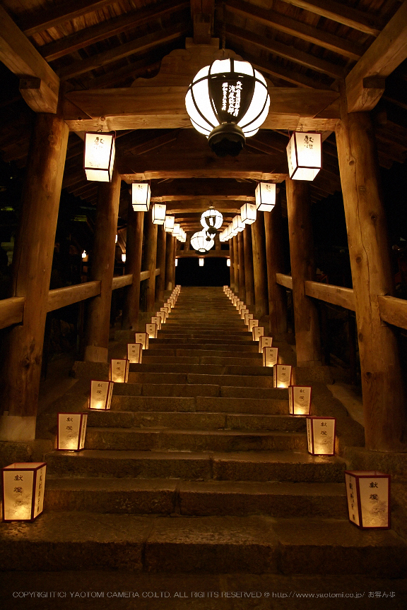 長谷寺,観音万燈会_IMG_4884Cap(24mm,F4.5,iso1600,SIGMA24_105,5DmarkII)2013yaotomi.jpg