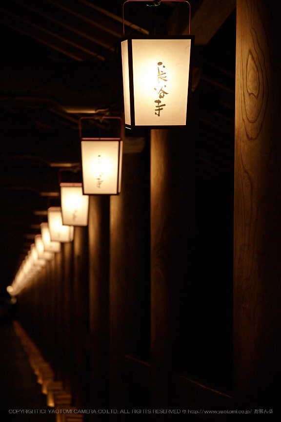 長谷寺,観音万燈会_IMG_4964Cap(95mm,F4,iso1600,SIGMA24_105,5DmarkII)2013yaotomi.jpg