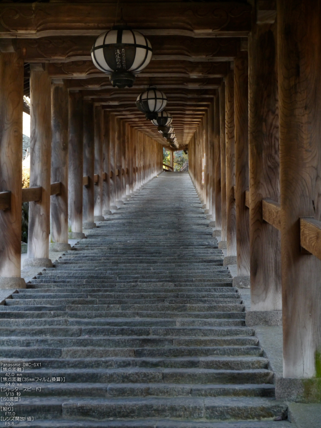 長谷寺紅葉_2011_2.jpg