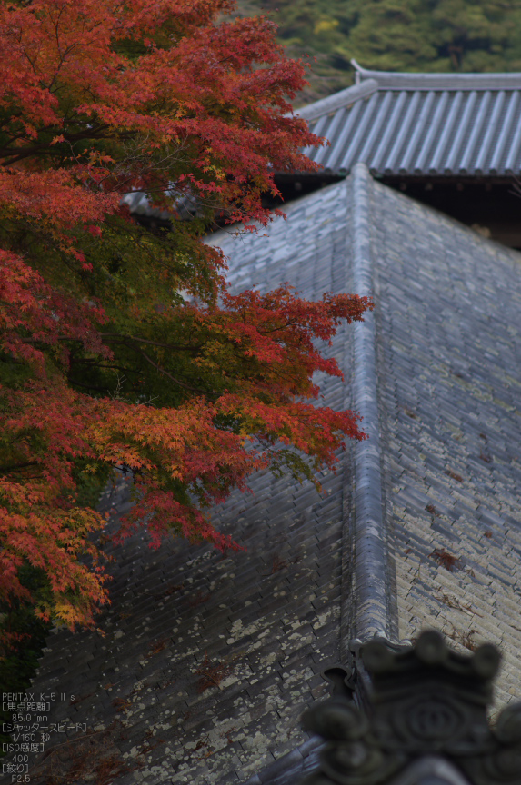 長谷寺_紅葉2012_yaotomi_8s.jpg