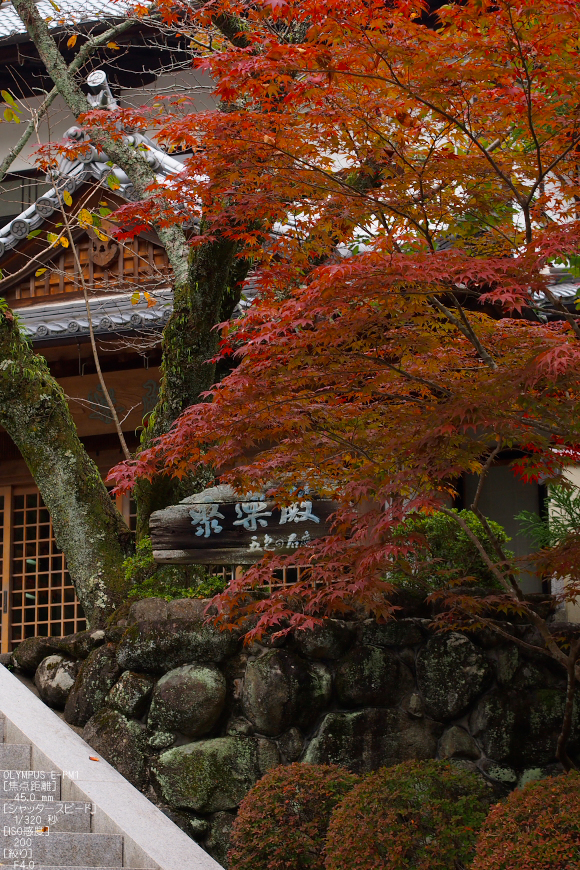 霊山寺_2011秋季特別公開_2.jpg