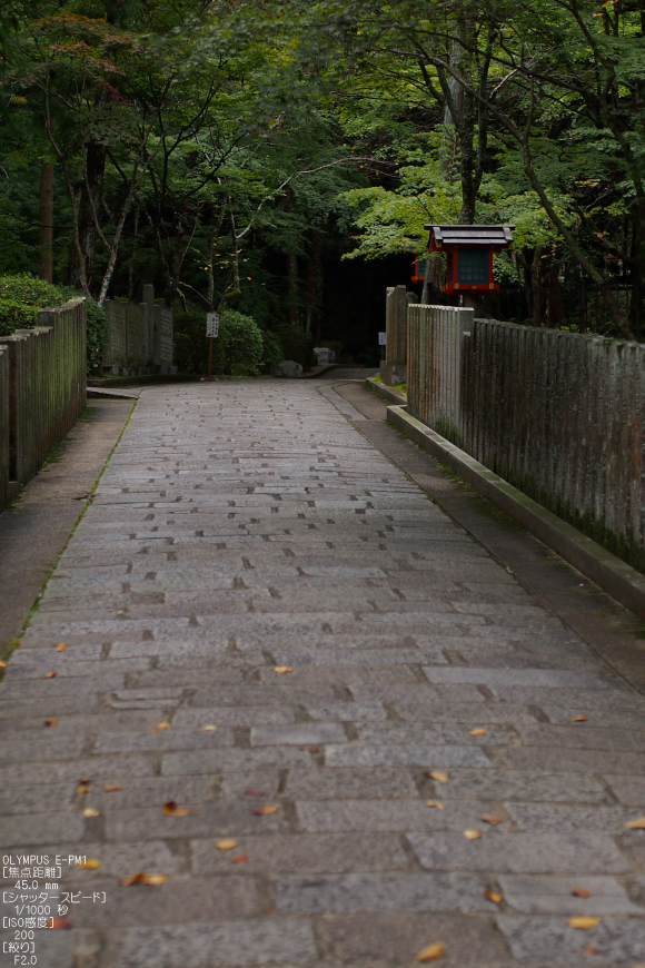 霊山寺_2011秋季特別公開_3.jpg