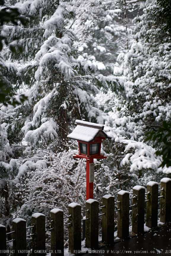 鞍馬寺,雪景(NOCTICRON,09-58-08Cap,43mm,F1.2)_2014yaotomi_.jpg