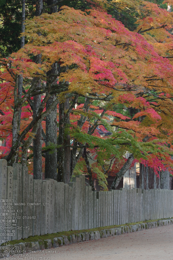 高野山,紅葉（PENTAX-K3）_2013yaotomi_23s.jpg