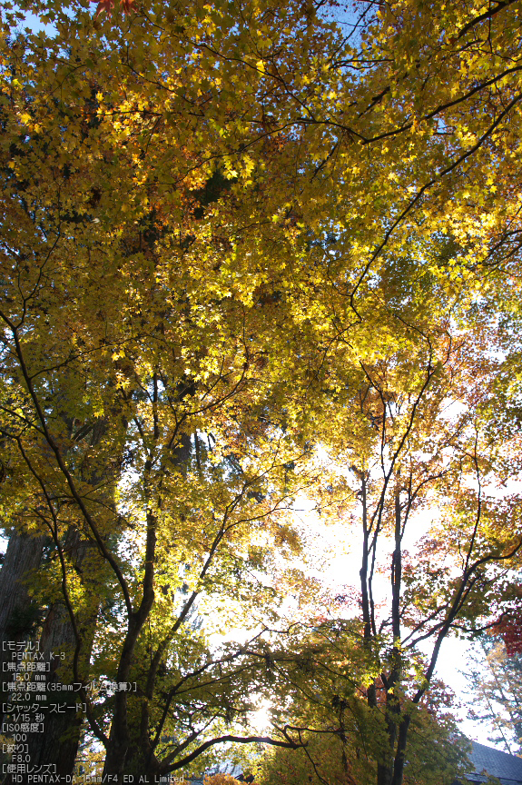 高野山,紅葉（PENTAX-K3）_2013yaotomi_36st.jpg