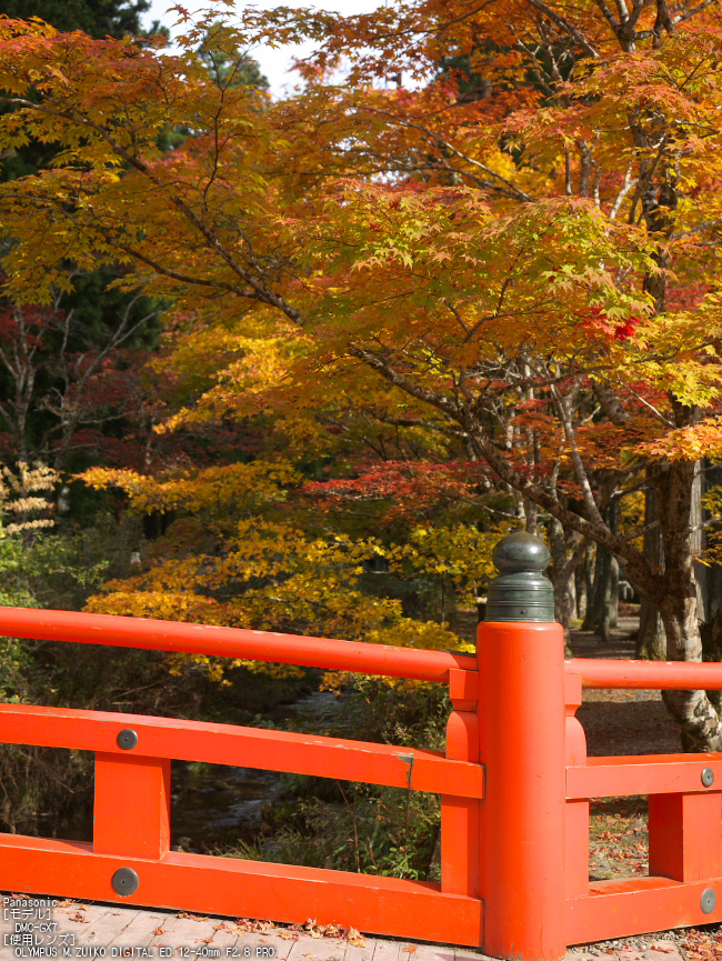 高野山,紅葉（Panasonic,GX7）_2013yaotomi_23s.jpg