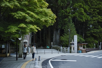 高野山,6月(SDIM0214,F2.8)2014yaotomi_s.jpg