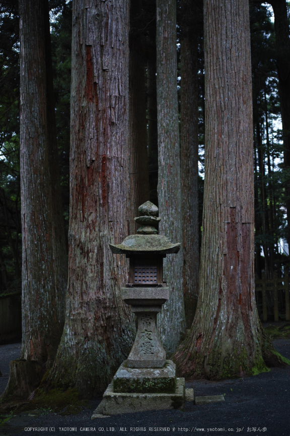 高野山.DP2,Quattro(SDIM0100,2.8)2014yaotomi_.jpg