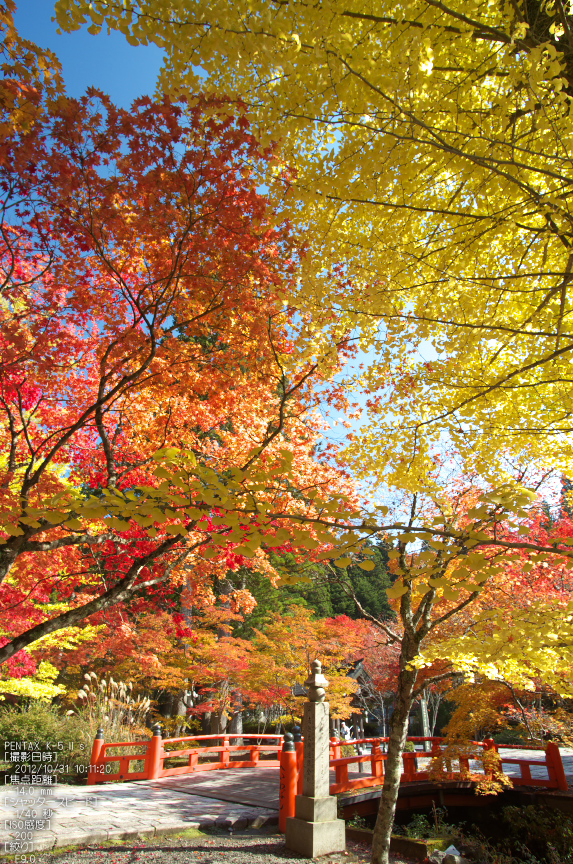 高野山_紅葉2012_K5IIs_yaotomi_12s.jpg