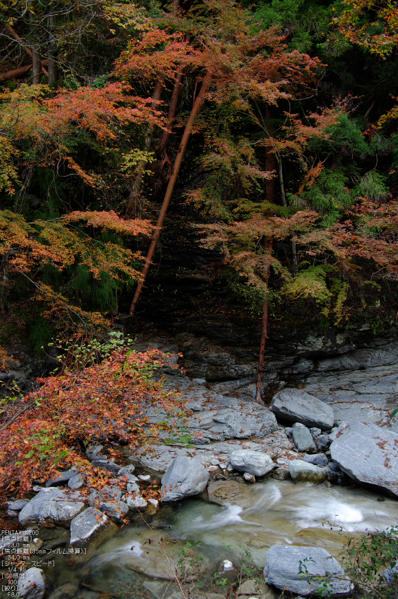 魚止滝・紅葉_2011_10.jpg