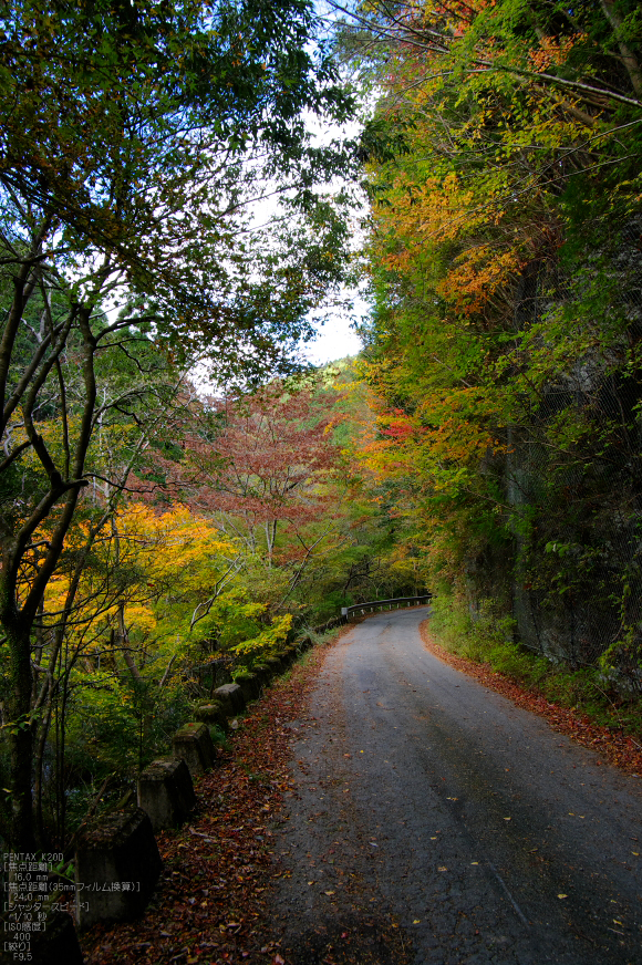 魚止滝・紅葉_2011_3.jpg