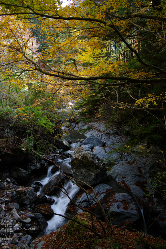 魚止滝・紅葉_2011_8.jpg