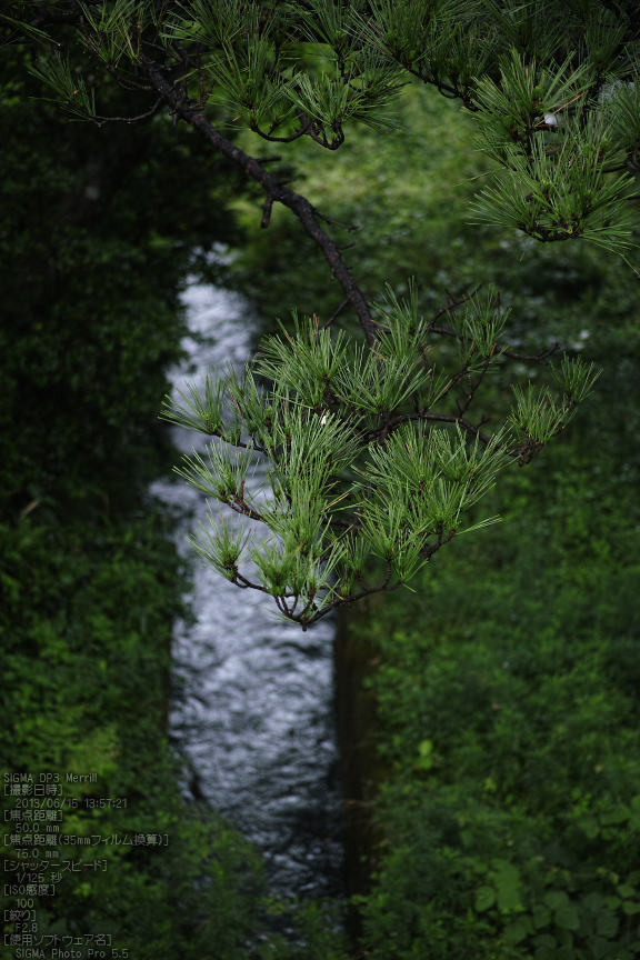 鳥取大山_大野池_2013yaotomi_15s.jpg