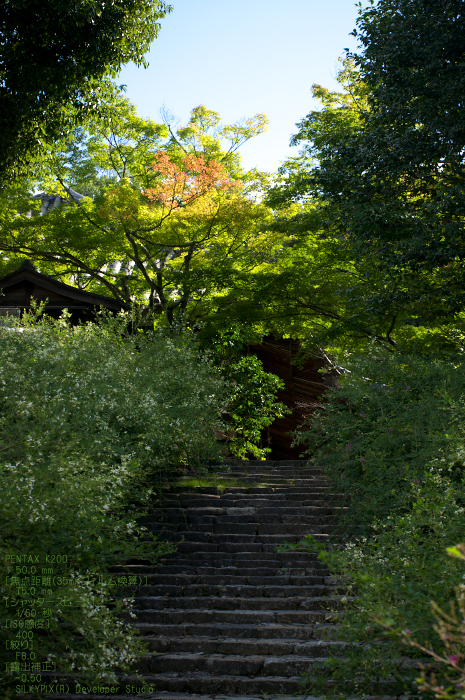 201009_白毫寺_15.jpg