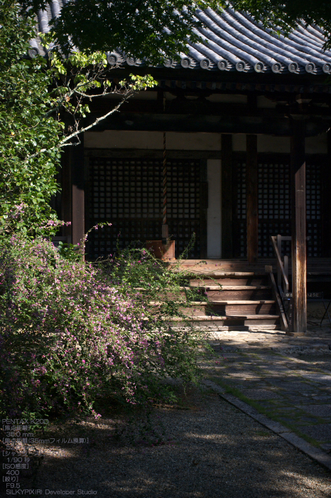 201009_白毫寺_7.jpg