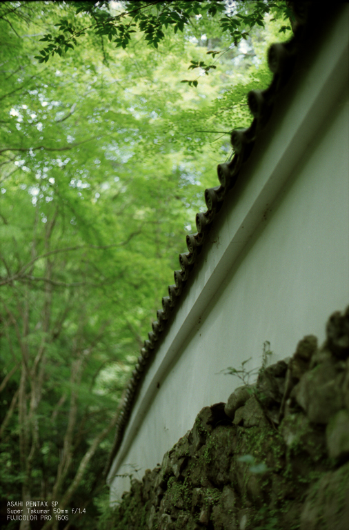 201010_高山寺_19.jpg