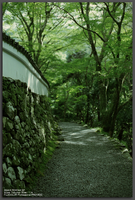 201010_高山寺_top.jpg