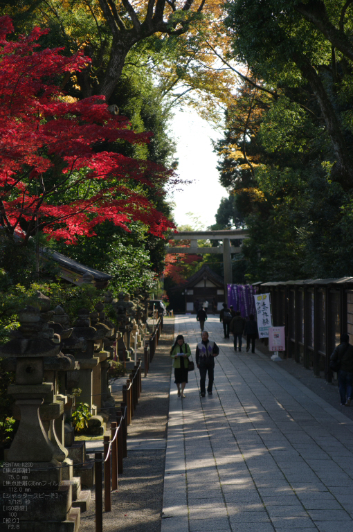 http://www.yaotomi.co.jp/blog/walk/2010_%E5%85%AB%E5%B9%A1%E3%81%95%E3%82%93_2.jpg