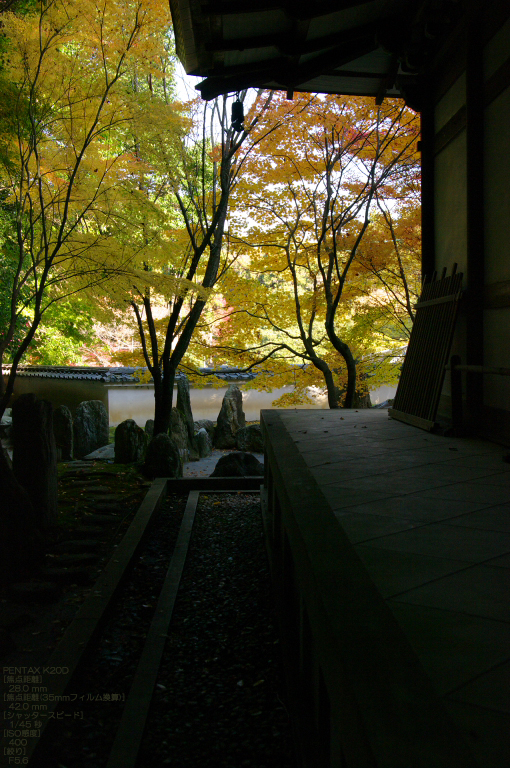 2010_善能寺・紅葉_5.jpg