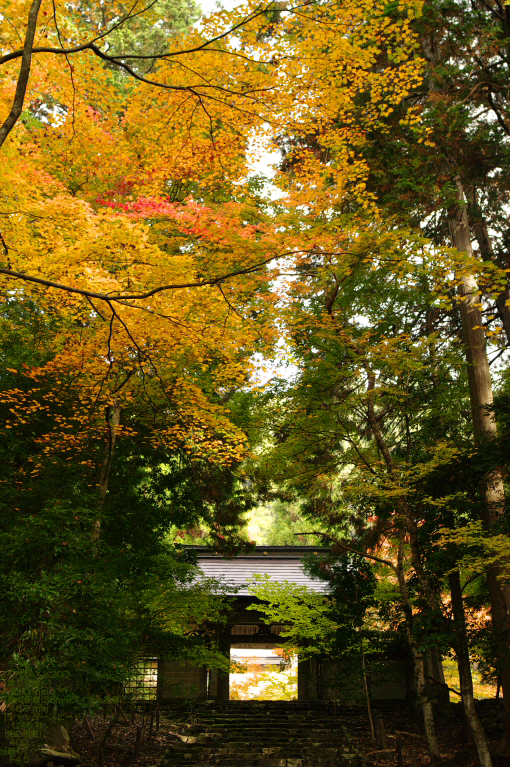 2010_常照皇寺・紅葉_3.jpg