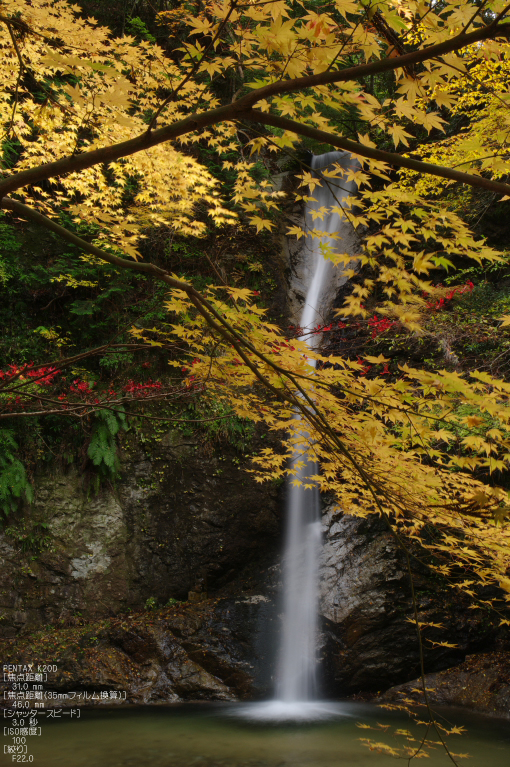 2010_投石の滝・紅葉_5.jpg