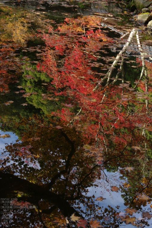 2010_正暦寺・紅葉_2.jpg