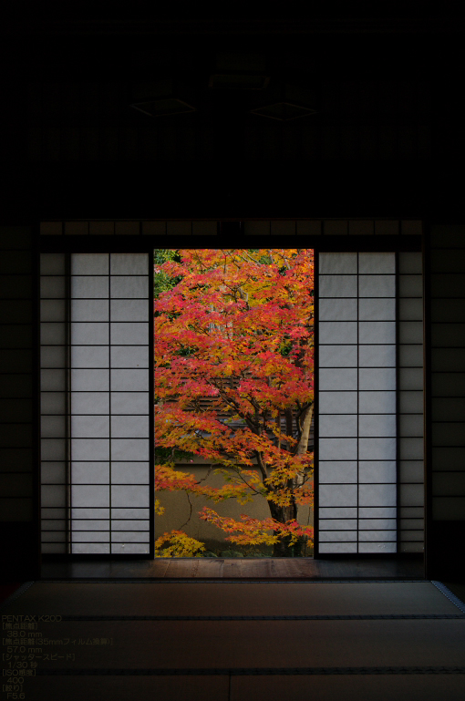 2010_雲龍院・紅葉_8.jpg