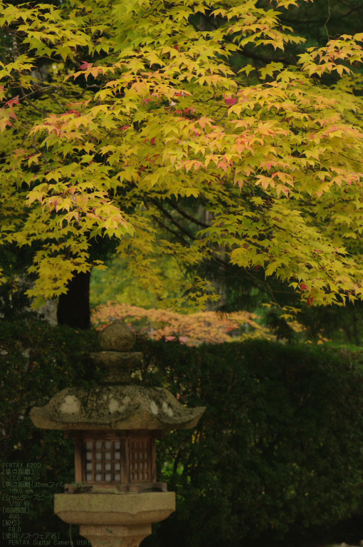 2010_高野山紅葉_18.jpg