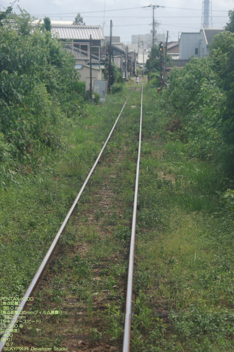 2010_09_紀州鉄道_10.jpg