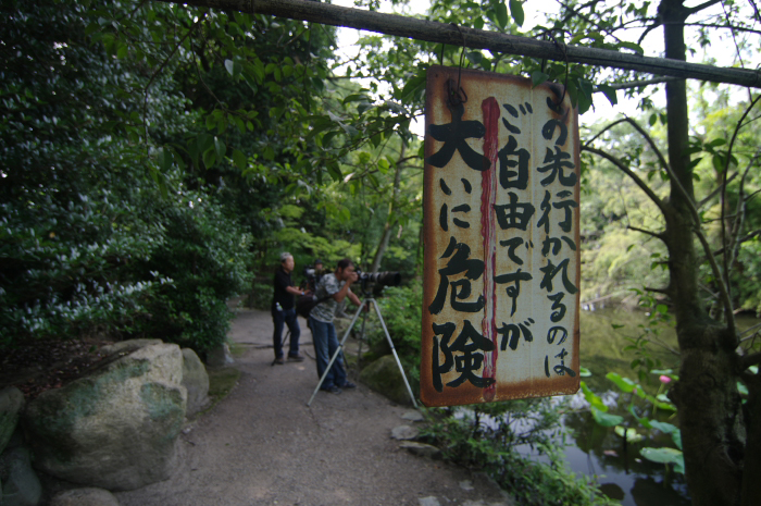 201107_勧修寺・蓮_3s.jpg