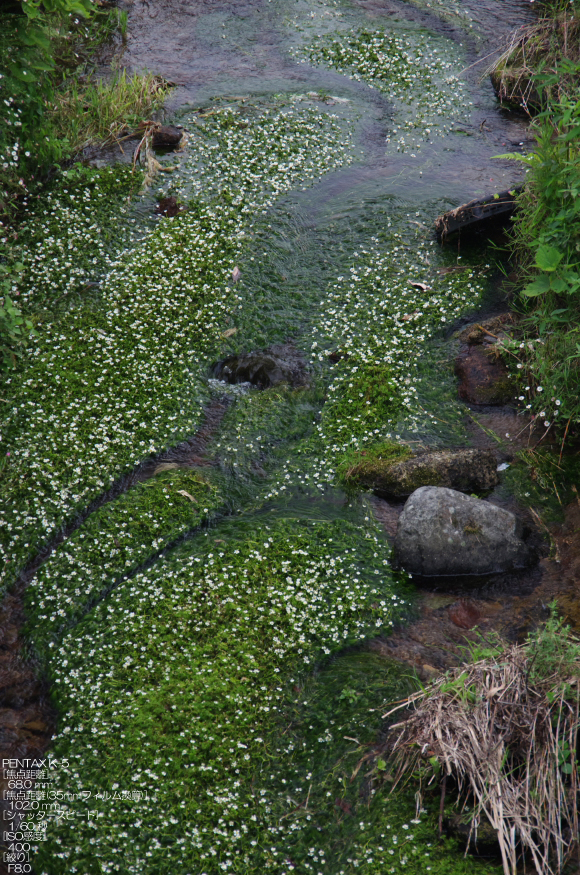 201108_鳥取・天の真名井_1.jpg