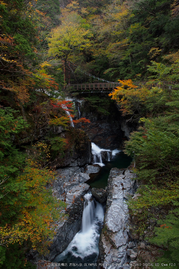 2011_奈良・みたらい渓谷紅葉_7.jpg