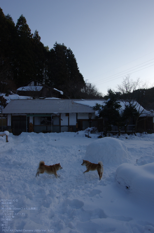 2011_東吉野_雪_41.jpg