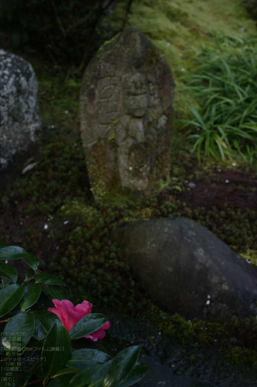 2011_3_岩屋寺・桜_2.jpg