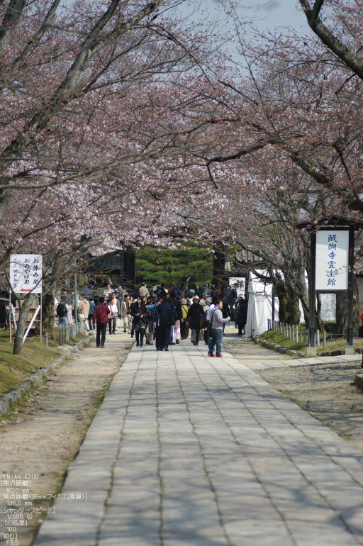 2011_4_三宝院・桜_15.jpg