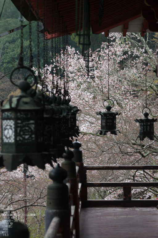 2011_4_談山神社・桜_8.jpg